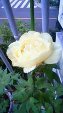 0429-b2.jpg
