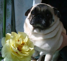 0430-bb.jpg