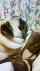 201012312135000.jpg