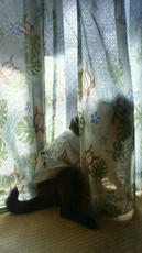 201101161331000.jpg