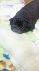 2011102212490000.jpg