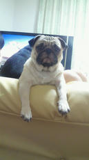 2011102719030002.jpg