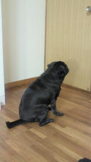 2012011500110000.jpg