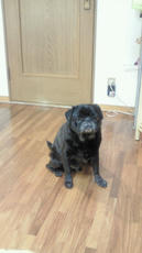 2012011500020000.jpg