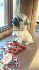 2012020116300000.jpg