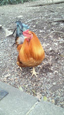 2012030716390001.jpg