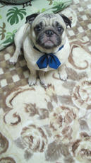 2012030621180001.jpg