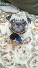 2012030521000000.jpg
