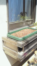2012040812510000.jpg