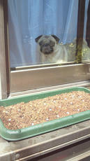 2012040812500000.jpg
