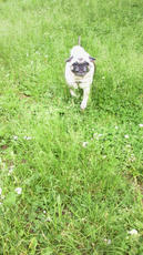 2012052614040000.jpg