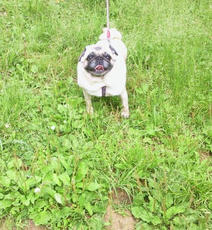 2012052614040002.jpg