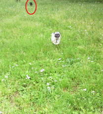 2012052614050000.jpg