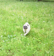 2012052614060000.jpg