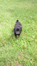 2012052614050001.jpg