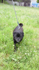 2012052614120000.jpg