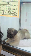 2012022815430000.jpg