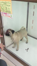 2012040615200000.jpg
