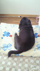2012101012240000.jpg