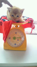 2012092210210000.jpg