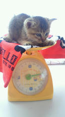 2012092210230000.jpg