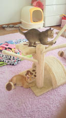 2012100508470001.jpg