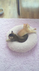 2012100208300000.jpg