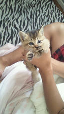 2012092209090001.jpg