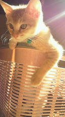 2012110410490001.jpg