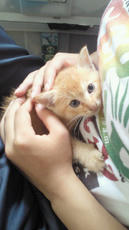 2012092209080000.jpg