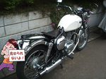 38e8506b.png