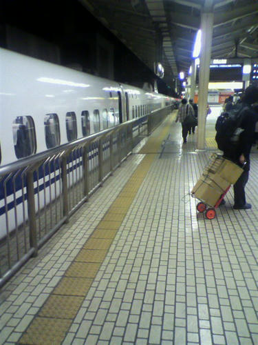 P1000234.JPG