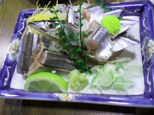 P1000302.png