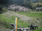 DSCF2342.JPG