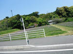 DSCF0039.JPG