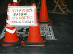 DSCF0054.JPG