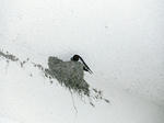 DSCF0053.JPG