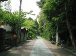 DSCF0086.JPG