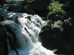 DSCF0203.jpg