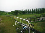 DSCF0262.JPG
