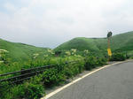 DSCF0559.JPG