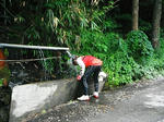 DSCF0658.JPG