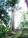 DSCF0677.JPG
