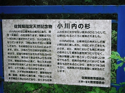 DSCF0991.JPG