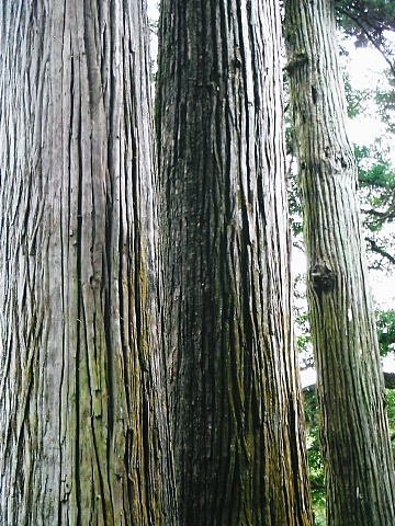 DSCF0994.JPG
