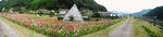 DSCF1041.JPG