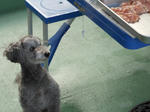 DSCN0193.JPG