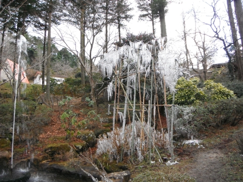 DSCF0012.JPG