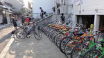 DSC01557.JPG