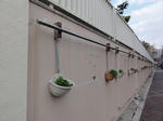 DSC03250.JPG
